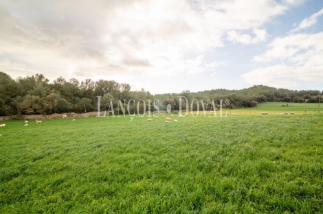 Artà, Mallorca. Gran finca rústica en venta con casa para reformar.