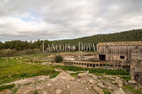 Artà, Mallorca. Gran finca rústica en venta con casa para reformar.