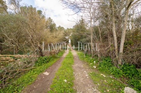 Artà, Mallorca. Gran finca rústica en venta con casa para reformar.