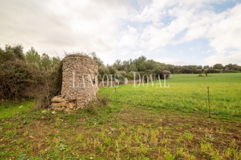 Artà, Mallorca. Gran finca rústica en venta con casa para reformar.