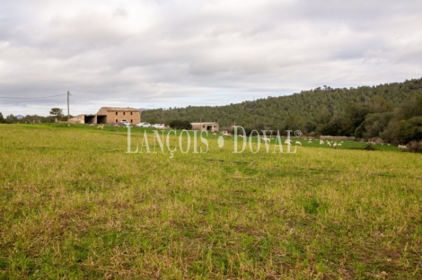 Artà, Mallorca. Gran finca rústica en venta con casa para reformar.