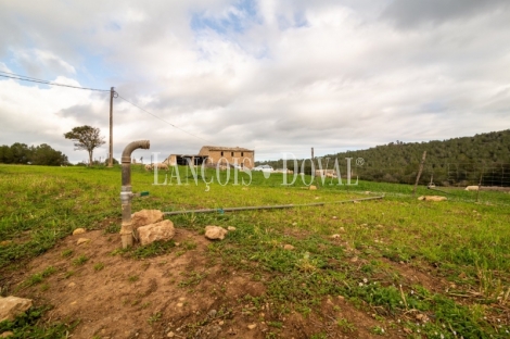 Artà, Mallorca. Gran finca rústica en venta con casa para reformar.