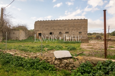 Artà, Mallorca. Gran finca rústica en venta con casa para reformar.