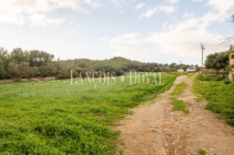 Artà, Mallorca. Gran finca rústica en venta con casa para reformar.