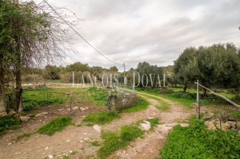 Artà, Mallorca. Gran finca rústica en venta con casa para reformar.