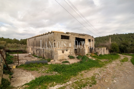 Artà, Mallorca. Gran finca rústica en venta con casa para reformar.