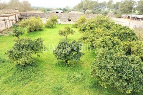 Mallorca. Finca rústica en venta. Bonita possessió mallorquina en María de la Salut.