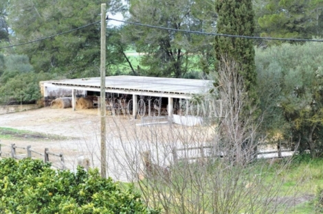 Mallorca. Finca rústica en venta. Bonita possessió mallorquina en María de la Salut.