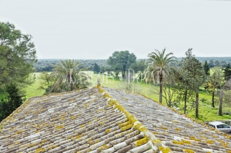 Mallorca. Finca rústica en venta. Bonita possessió mallorquina en María de la Salut.