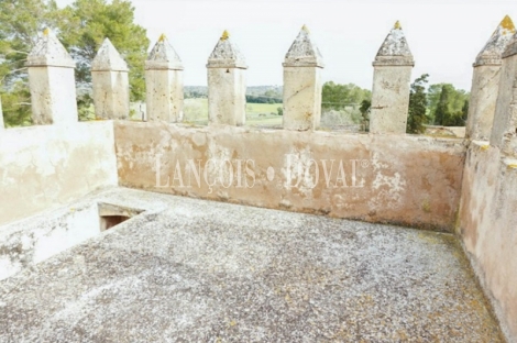 Mallorca. Finca rústica en venta. Bonita possessió mallorquina en María de la Salut.