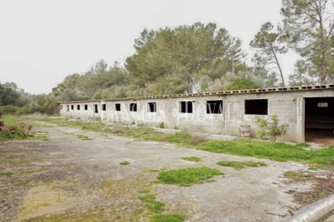 Mallorca. Finca rústica en venta. Bonita possessió mallorquina en María de la Salut.