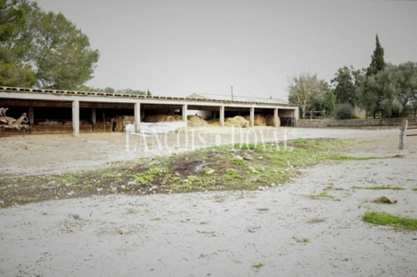 Mallorca. Finca rústica en venta. Bonita possessió mallorquina en María de la Salut.