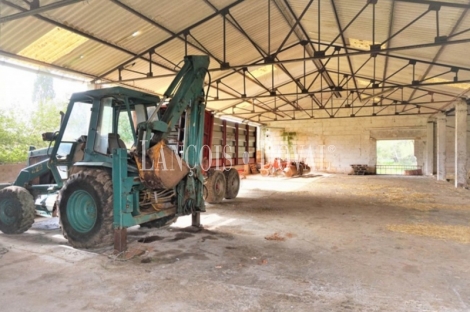 Mallorca. Finca rústica en venta. Bonita possessió mallorquina en María de la Salut.