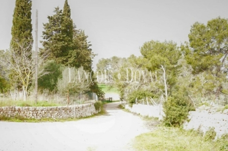 Mallorca. Finca rústica en venta. Bonita possessió mallorquina en María de la Salut.