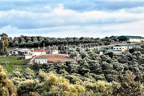 Córdoba. Coto de caza y finca ganadera en venta. 1370 hectáreas. 