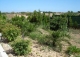 Mallorca. Villa de lujo finca en Manacor