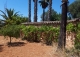 Mallorca. Finca con villa de lujo en venta. Felanitx