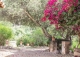 Mallorca. Una singular Casa rústica en venta en Andratx