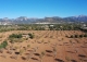 Mallorca. Inca. Finca Exclusiva en venta en el Corazón de la Isla