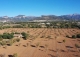 Mallorca. Inca. Finca Exclusiva en venta en el Corazón de la Isla