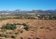 Mallorca. Inca. Finca Exclusiva en venta en el Corazón de la Isla