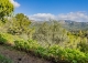 Esporles. Mallorca. Chalet en venta con piscina y amplio jardín. 
