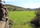 Asturias. Casa palacio en venta siglo XVI. Concejo de Salas. 