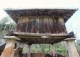 Casa rústica tradicional de pueblo en venta cerca Covadonga. Cangas de Onís.