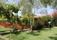 Carmona Sevilla Finca en venta 