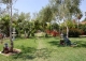 Carmona Sevilla Finca en venta 