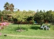 Carmona Sevilla Finca en venta 