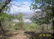 Güejar Sierra. Sierra nevada. Granada. Finca edificable en venta.