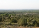 La Manchuela Alta. Cuenca. Finca coto de caza en venta.