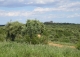 La Manchuela Alta. Cuenca. Finca coto de caza en venta.