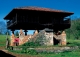 Parroquia de Santa María de Bayo, Concejo de Grado. Asturias. Casa Palacio en venta.