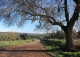 Cortijo y finca en venta. Santisteban del Puerto. Jaén.