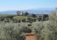 Cortijo y finca en venta. Santisteban del Puerto. Jaén.