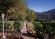 Finca y casa asturiana típica con panera en venta. Trevías. Valdés. Asturias. 