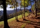 Finca y casa asturiana típica con panera en venta. Trevías. Valdés. Asturias. 