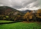 Finca y casa asturiana típica con panera en venta. Trevías. Valdés. Asturias. 