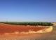 Finca de recreo olivar y cultivo en venta. Ciudad Real.
