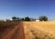 Finca de recreo olivar y cultivo en venta. Ciudad Real.