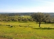 Sierra Morena. Dehesa con cortijo en venta. Finca de caza mayor y menor. Vilches. Jaén.