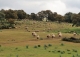 Sierra Morena. Dehesa con cortijo en venta. Finca de caza mayor y menor. Vilches. Jaén.