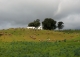 Sierra Morena. Dehesa con cortijo en venta. Finca de caza mayor y menor. Vilches. Jaén.