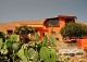 Fuerteventura. Finca y cortijo en venta. Betancuria. Ideal turismo. Canarias.