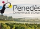 D. Origen Penedès. Finca vinícola en venta. Masía Ideal eventos u hotel.