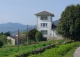 Mohías. Ortiguera. Casa en venta ideal alojamiento rural. Concejo de Coaña. Asturias