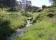 Cáceres. Dehesa en venta. Coto de caza mayor y menor. Comarca de La Jara.