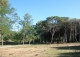 Burgos. Finca en venta con tres casas rurales y caballerizas. Villarcayo.